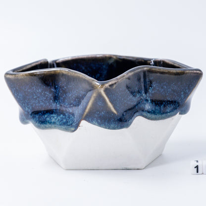 Star Dish #113