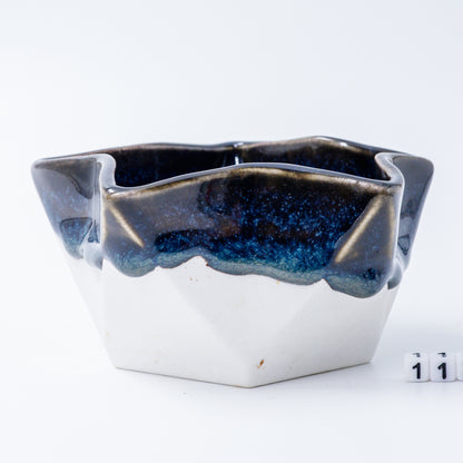 Star Dish #113
