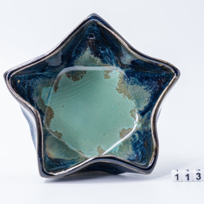 Star Dish #113