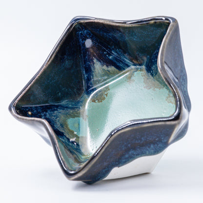 Star Dish #113