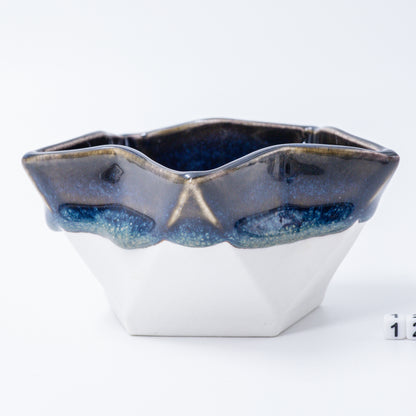 Star Dish #122